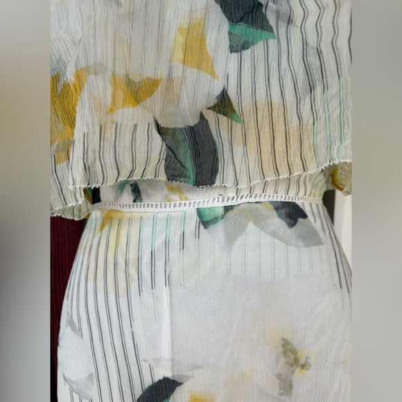 Anthropologie women’s Garden Party Dress Floral Ruffle Size 12 midi preloved - Picture 7 of 14